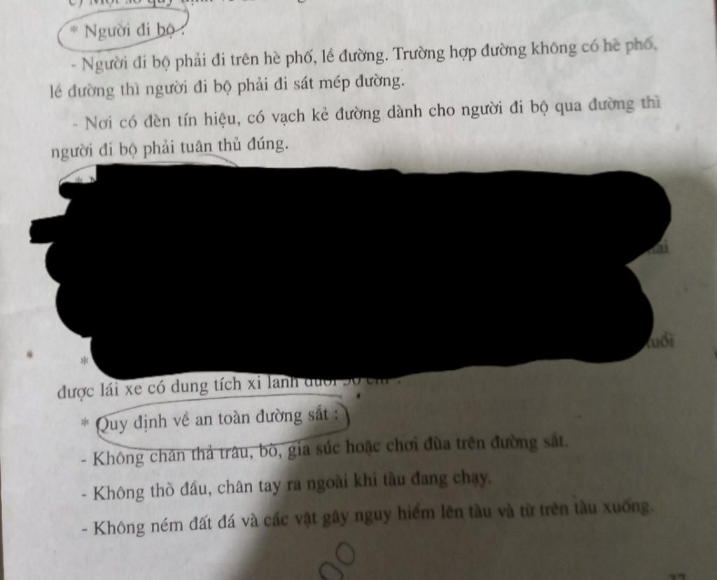qui-dinh-ve-nguoi-di-bo-qui-dinh-cua-nguoi-di-e-may-qui-dinh-cua-nguoi-o-to-qui-dinh-ve-duong-sa
