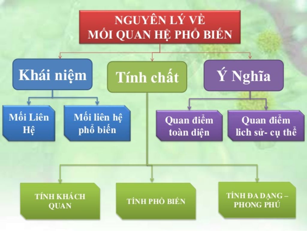 ve-so-do-tu-duy-bieu-thi-noi-dung-nguyen-ly-moi-lien-he-pho-bien-va-nguyen-ly-ve-su-phat-trien-c