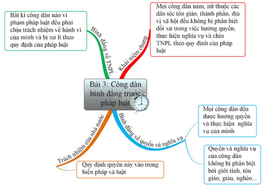 ve-so-do-tu-duy-ve-quyen-tu-do-kinh-doanh-va-nghia-vu-dong-thue