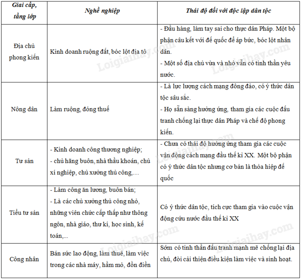 1-em-hay-trinh-bay-nhung-net-chinh-ve-cac-giai-cap-tang-lop-trong-a-hoi-viet-nam-dau-tk-va-thai