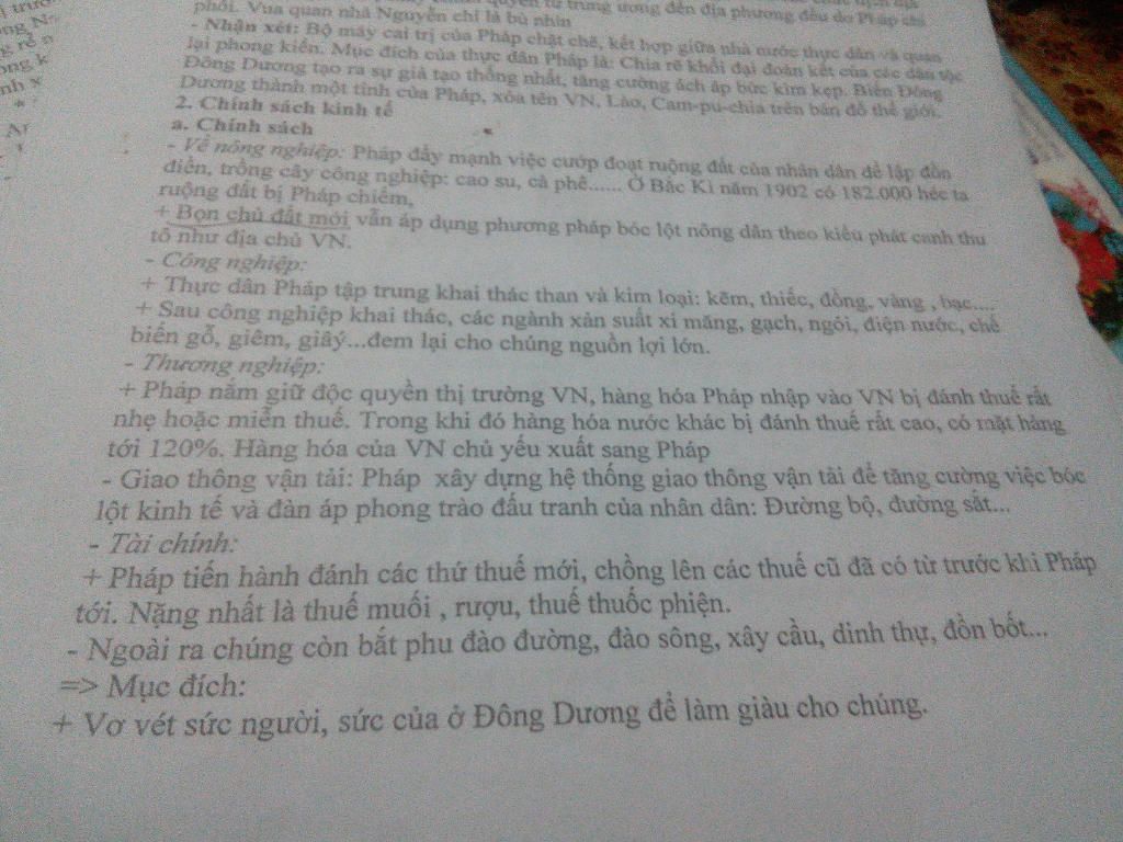 1-neu-cac-chinh-sach-cua-thuc-dan-phap-trong-cac-nganh-kinh-te-trong-cuoc-khai-thac-lan-thu-1-2