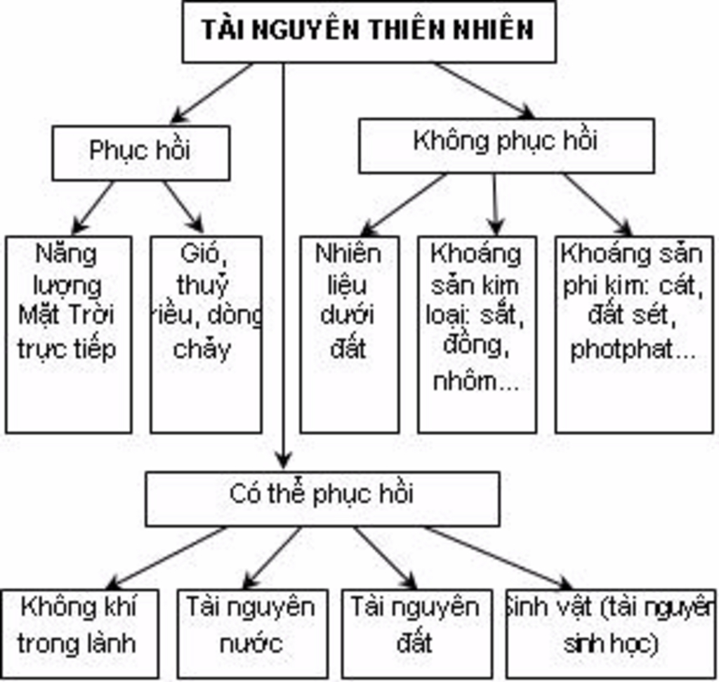 2-lien-he-thuc-te-dia-phuong-ve-tinh-hinh-su-dung-1-loai-tai-nguyen-thien-nhien-nao-do-va-de-uat