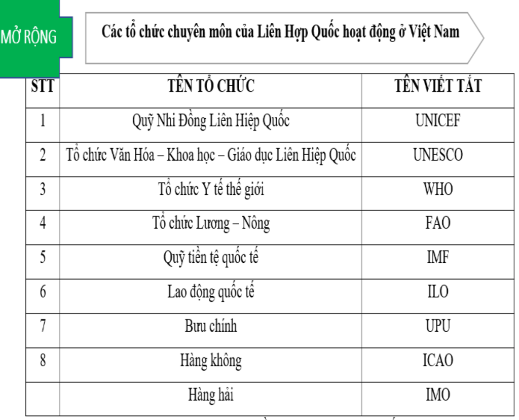 cac-to-chuc-cua-lhq-hien-nay-dang-hoat-dong-o-viet-nam