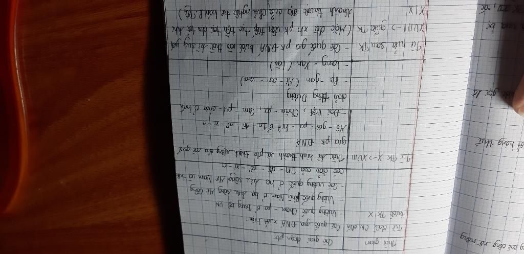 cau-1-lap-nien-bieu-cac-giai-doan-phat-trien-lich-su-lon-khu-vuc-dong-nam-a-den-giua-the-ki-i-ca