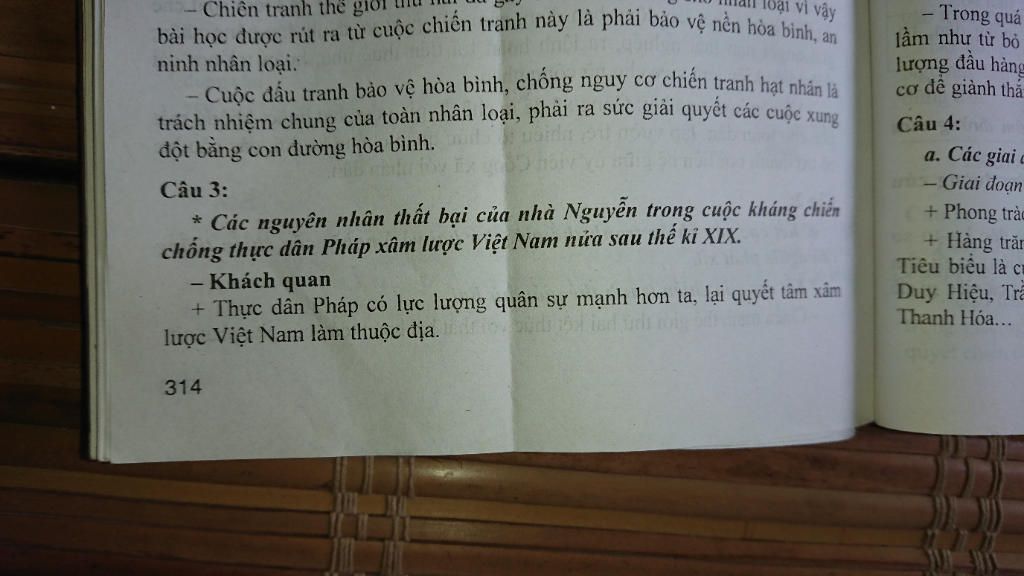 cau-1-nguyen-nhan-bi-am-luoc-va-nguyen-nhan-mat-doc-lap-cua-nuoc-dai-nam-viet-nam-nua-cuoi-the-k