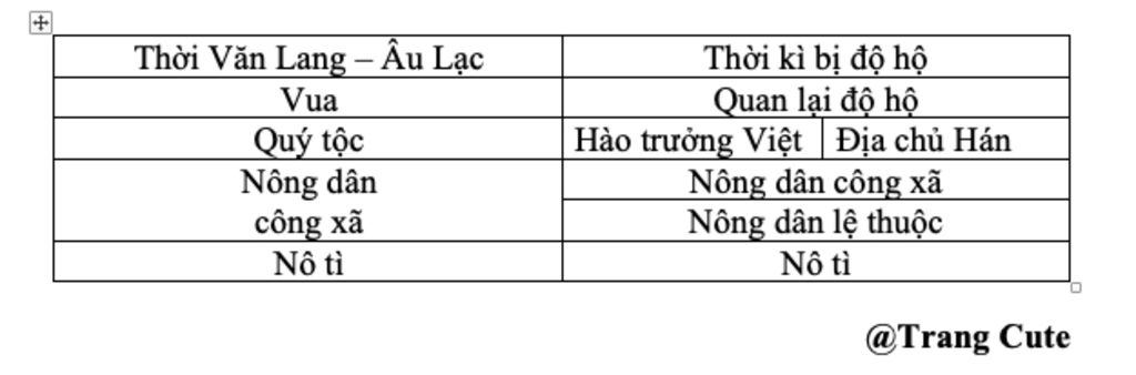 cau-1-ve-so-do-phan-hoa-cua-cac-giai-cap-tang-lop-cua-nuoc-ta-trong-thoi-ky-do-ho-so-voi-thoi-va