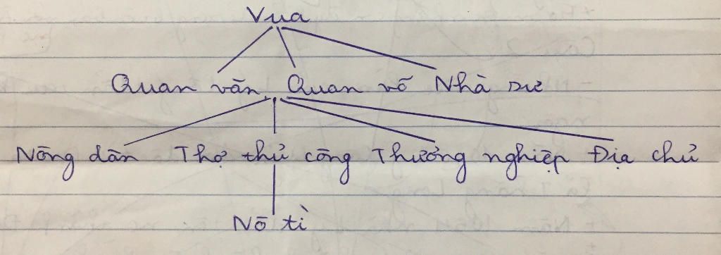 cau-1-ve-so-do-su-phan-hoa-a-hoi-thoi-tien-le-cau-2-trinh-bay-nhung-net-chinh-ve-su-phat-trien-k