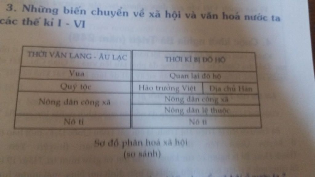 cau-10-lap-so-do-giai-thich-ve-su-phan-hoa-a-hoi-truoc-va-sau-khi-bi-do-ho