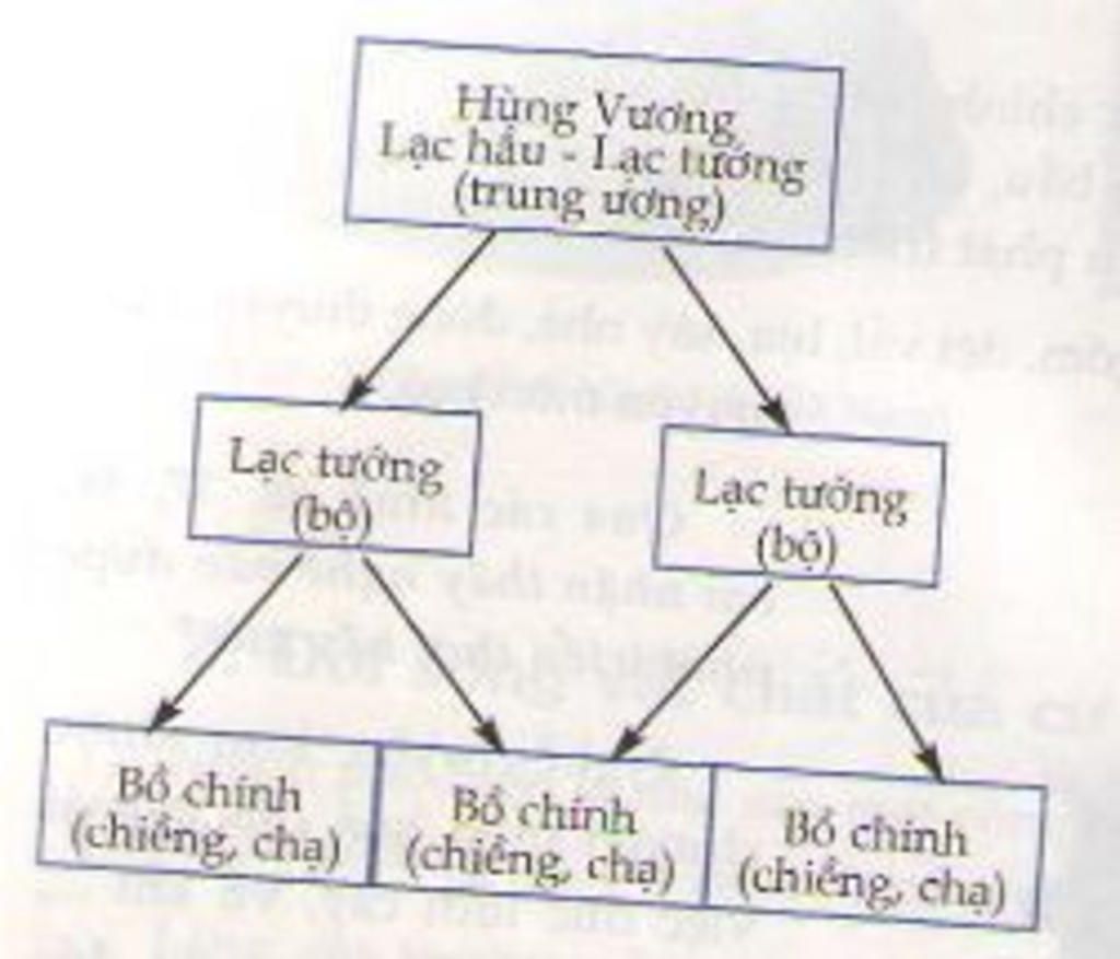 de-cuong-on-tap-lich-su-6-1-so-sanh-nguoi-toi-co-va-nguoi-tinh-khon-thoi-gian-uat-hien-cau-tao-c