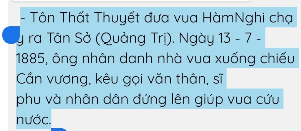 em-co-suy-nghi-gi-ve-hanh-dong-cua-vua-ham-nghi-va-ton-that-thuyet