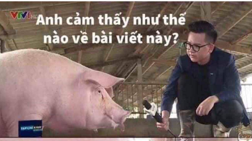 hay-lap-bang-so-sanh-kinh-te-van-hoa-giao-duc-khoa-hoc-nghe-thuat-cua-thoi-ly-va-thoi-tran