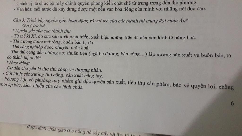 hay-neu-nguyen-nhan-va-vai-tro-ve-su-uat-hien-cac-thanh-thi-trung-dai-tayau