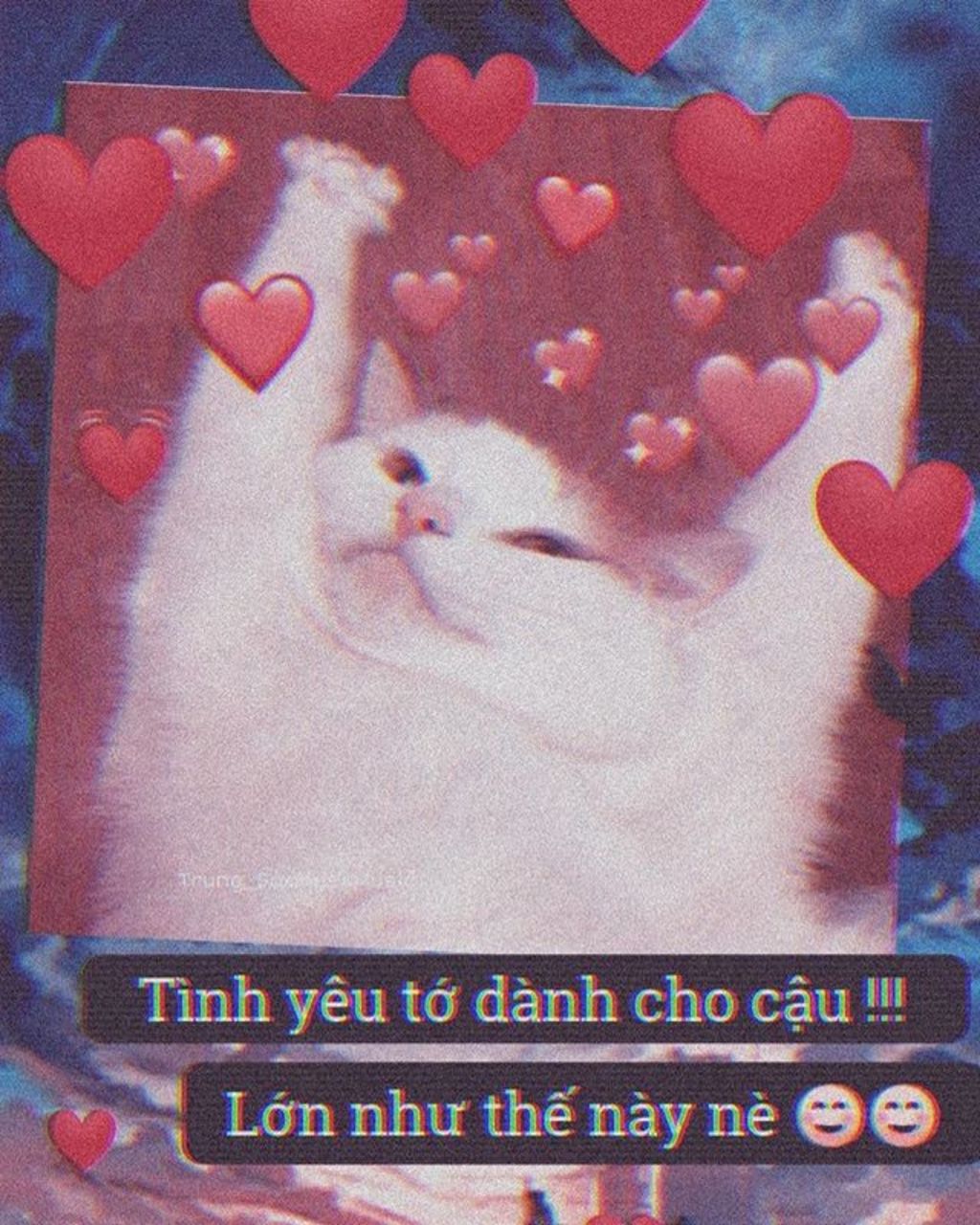 hay-phan-tich-nhung-nguyen-nhan-dan-den-su-suy-yeu-phat-giao-tai-an-do