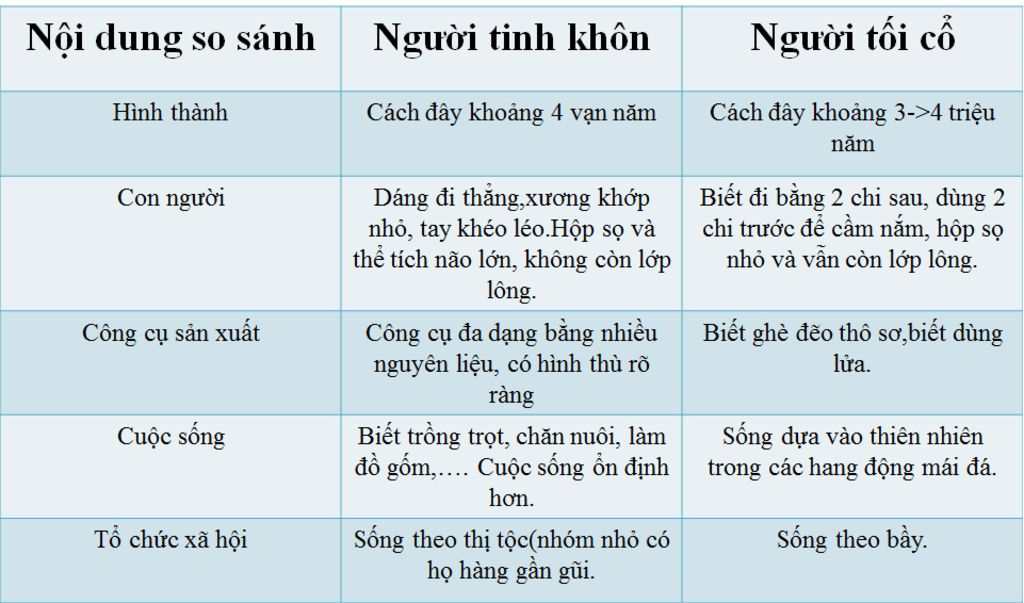 ke-bang-so-sanh-su-khac-nhau-giua-nguoi-tinh-khon-va-nguoi-toi-co-doi-song-con-nguoi-cong-cu-cuo