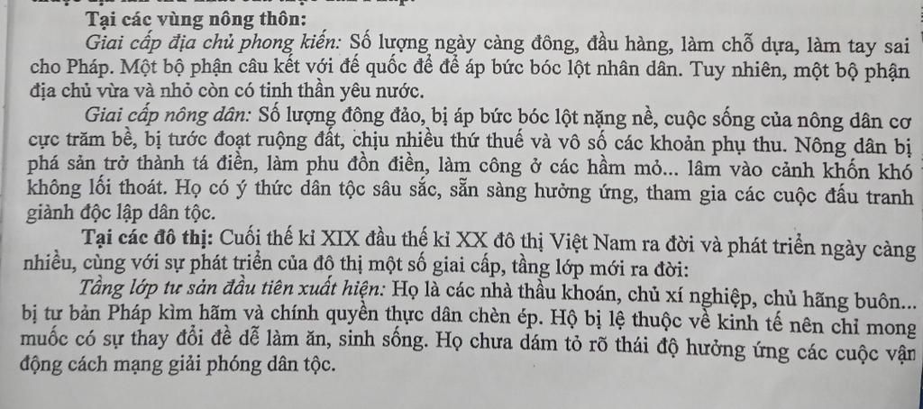 khai-quat-thai-do-chinh-tri-cua-nhung-gai-cap-tang-lop-a-hoi-viet-nam-duoi-tac-dong-cua-chinh-sa