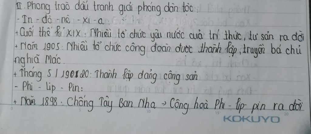 phong-trao-dau-tranh-giai-phong-dan-toc-cua-cac-nuoc-dna-cuoi-the-ki-i-dau-the-ki