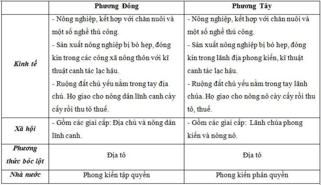 so-sanh-phuong-dong-vs-phuong-tay-cang-nhieu-cang-tot-anh-nha