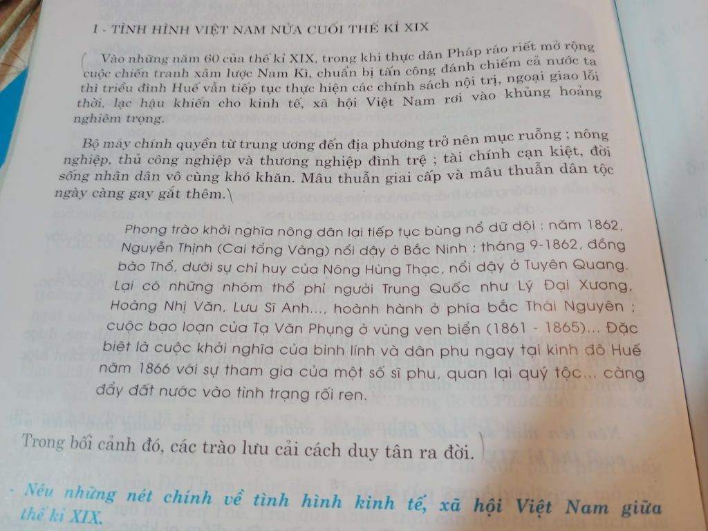 tinh-hinh-viet-nam-vao-cuoi-the-ky-19-nhu-the-nao