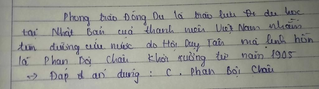 to-chuc-phong-trao-dong-du-la-a-phan-chau-trinh-b-hoi-duy-tan-c-phan-boi-chau-d-luong-van