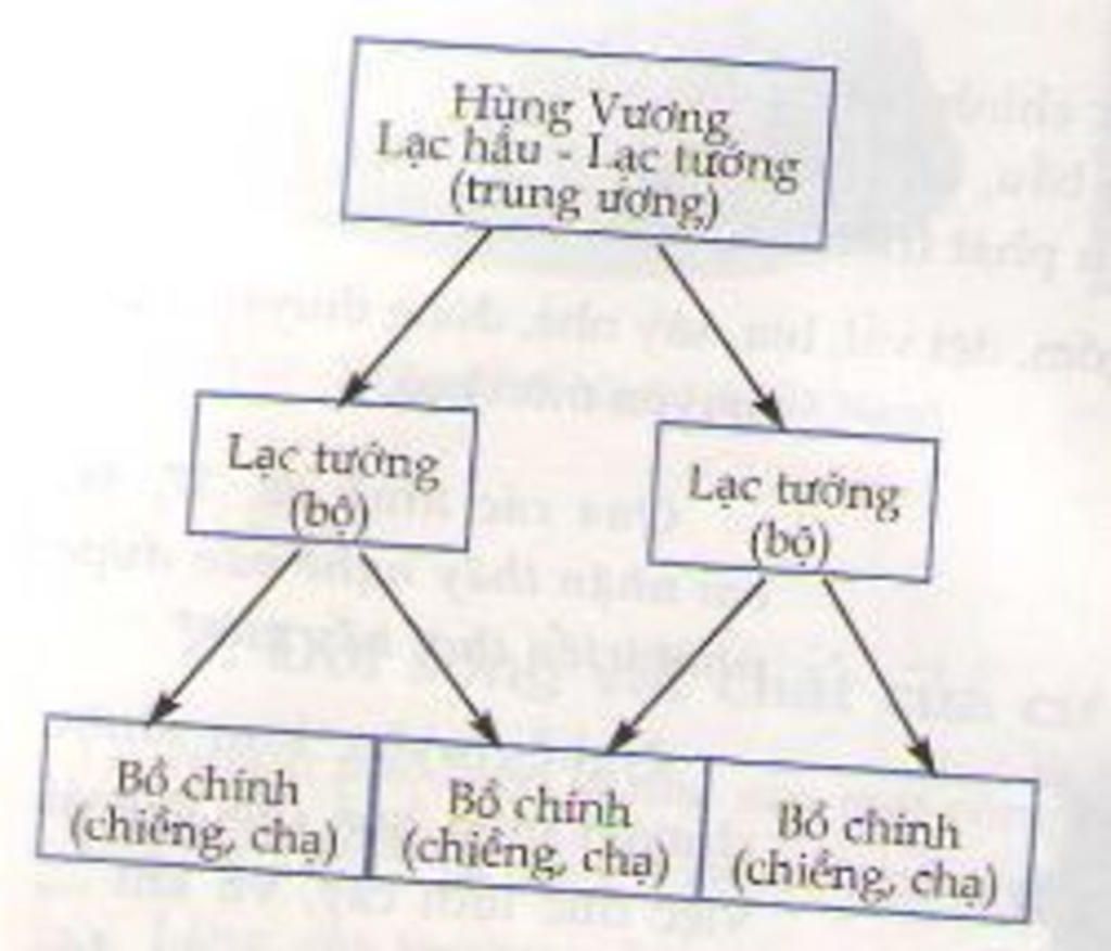 tra-loi-ho-minh-voi-1-so-sanh-nguoi-toi-co-va-nguoi-tinh-khon-thoi-gian-uat-hien-cau-tao-co-the