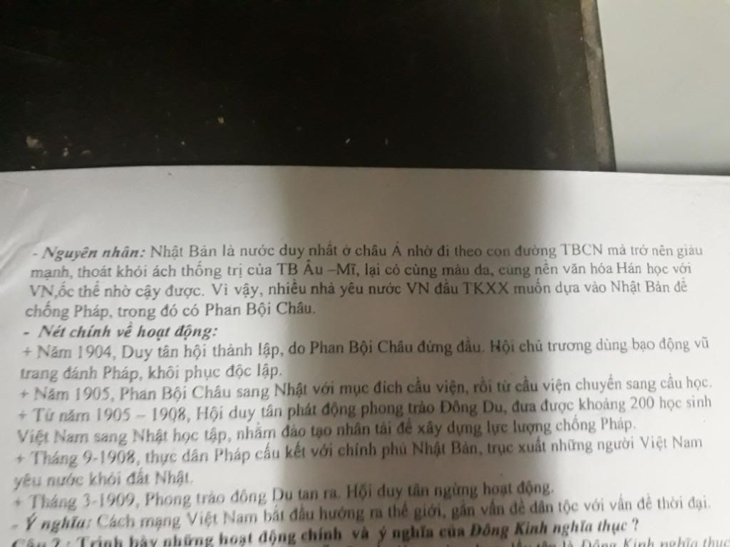 trinh-bay-nhung-net-chinh-ve-phong-trao-dong-du-vi-sao-phan-boi-chau-lai-chu-truong-bao-dong-vu