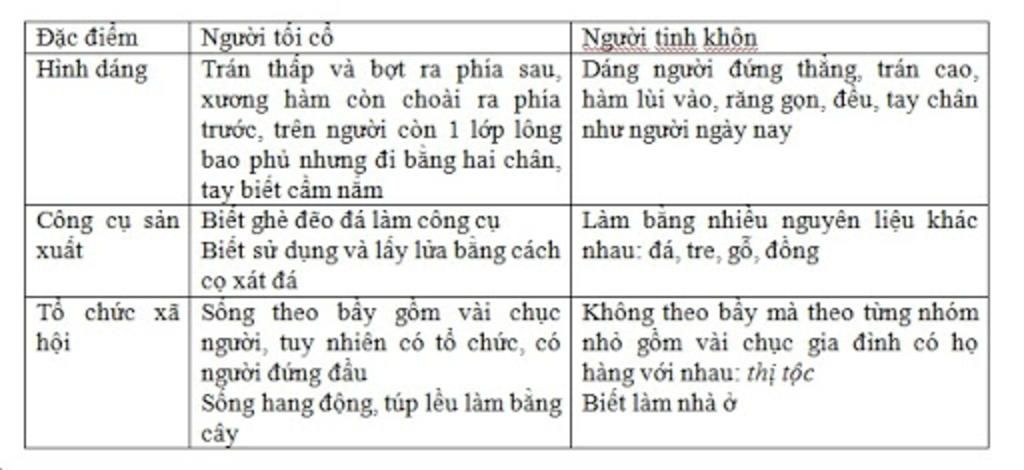 trinh-bay-thoi-gian-dia-diem-ma-con-nguoi-uat-hien-so-sanh-nguoi-tinh-khon-va-nguoi-toi-co