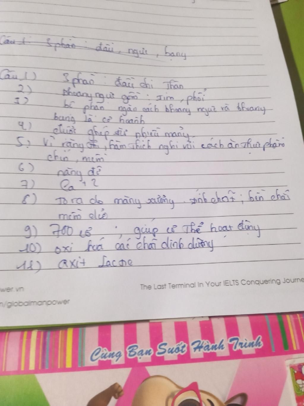 1-cac-phan-chinh-cua-co-the-nguoi-2-co-quan-nao-nam-trong-khoang-nguc-3-bo-phan-nao-ngan-cach-gi
