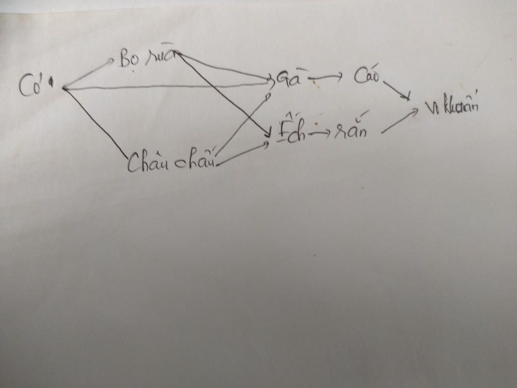 1-cac-tac-nhan-chu-yeu-gay-o-nhiem-moi-truong-2-cho-cac-sinh-vat-sau-cay-co-bo-rua-ech-ran-vi-kh