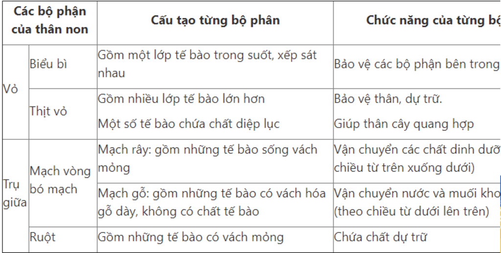 1-cau-tao-chuc-nang-tung-bo-phan-cua-than-thi-nghiem-de-chung-to-dieu-do-2-neu-thi-nghiem-chung