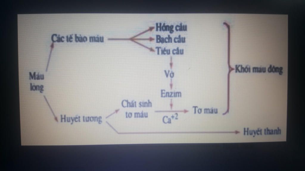 1-cau-tao-te-bao-gom-nhung-thanh-phan-nao-neu-chuc-nang-chinh-cua-tung-thanh-phan-2-neu-co-che-d