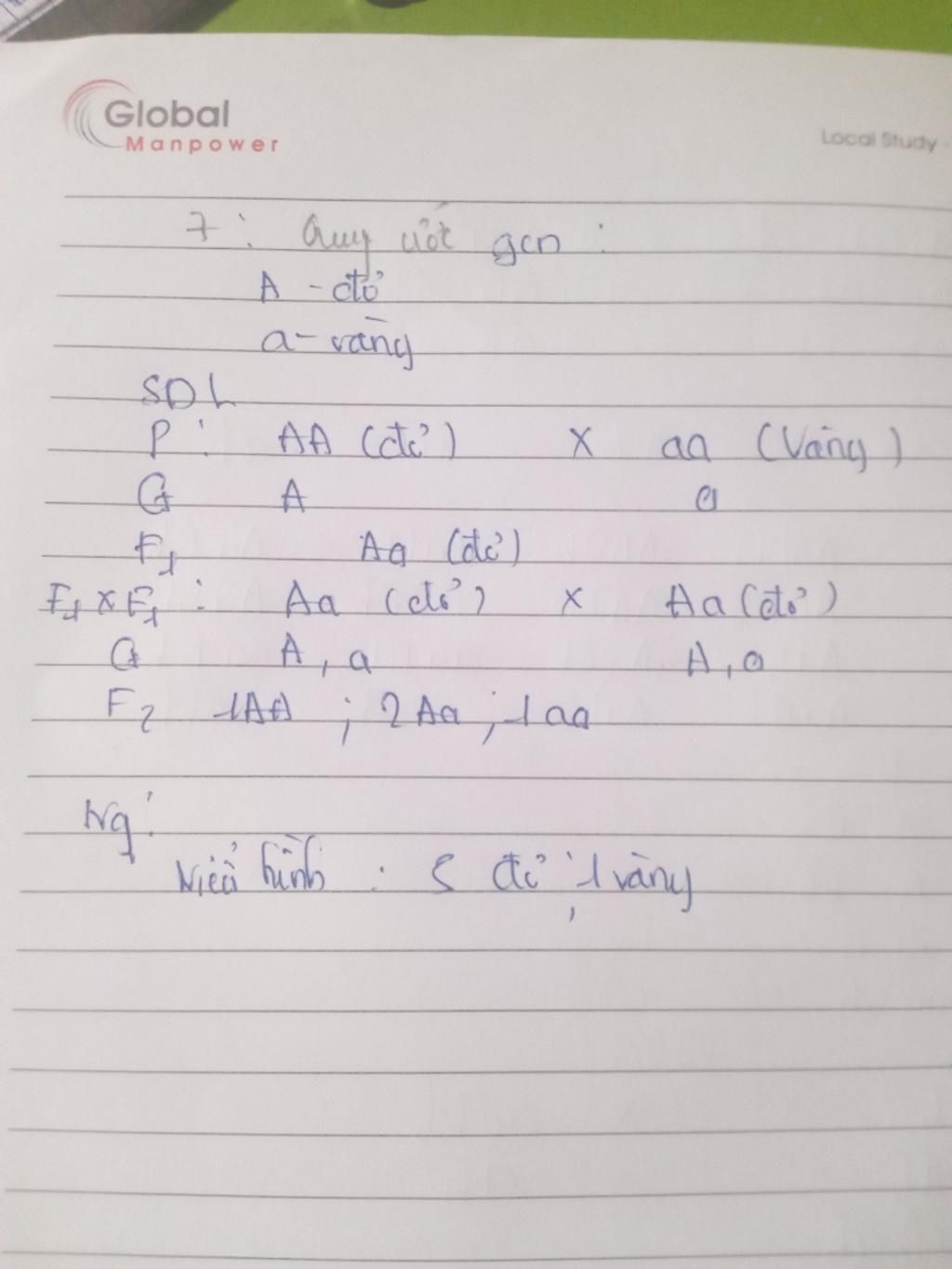 1-cho-2n-18-so-nhom-gen-lien-ket-la-bao-nhieu-2-cho-2n-20-so-nst-o-ki-sau-nguyen-phan-la-bao-nhi