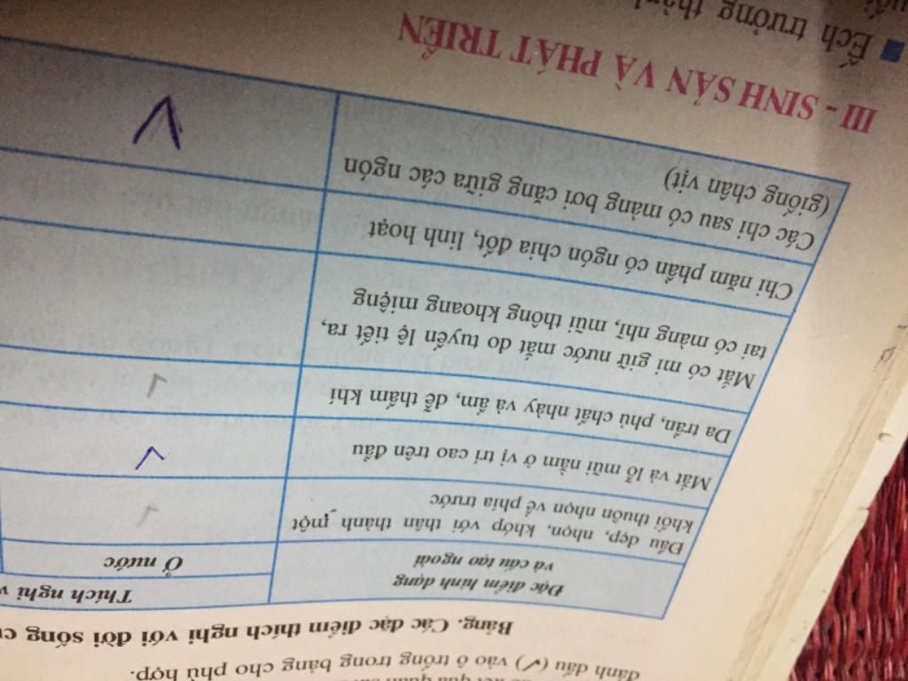 1-dac-diem-cau-tao-ngoai-cua-ech-dong-thich-nghi-voi-doi-song-o-nuoc-2-dac-diem-cau-tao-ngoai-cu
