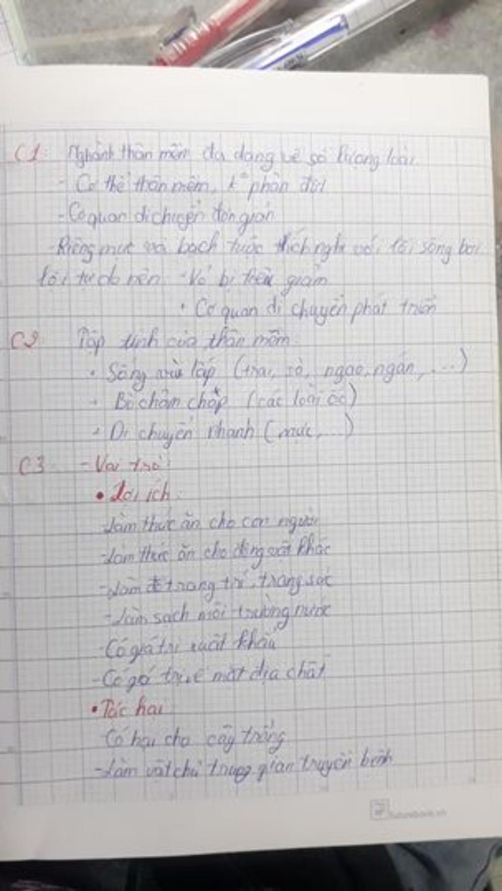 1-dac-diem-chung-nganh-than-mem-2-mot-so-tap-tinh-cua-than-mem-3-vai-tro-cua-nganh-than-mem-4-bi