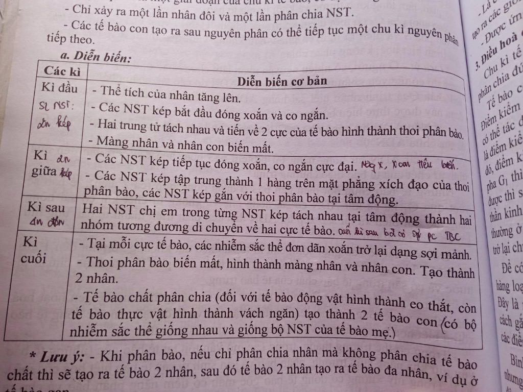 1-dien-bien-cua-nhiem-sac-the-o-moi-ky-cua-giam-phan-i-la-2-dien-bien-cua-nhiem-sac-the-o-moi-ky