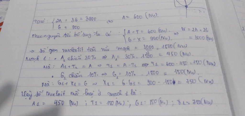 1-gen-o-sinh-vat-nhan-thuc-co-3900-lien-ket-hidro-va-co-900-nucleotit-loai-guanin-mach-1-cua-gen