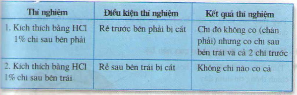 1-giai-thich-cac-hien-tuong-thuc-te-lien-quan-den-chuc-nang-va-cau-tao-cua-da-2-giai-thich-thi-n