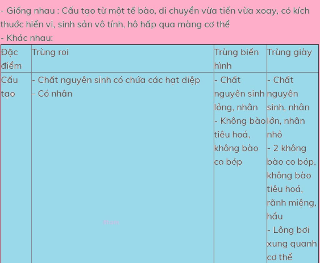 1-hay-ke-ten-cac-nganh-dong-vat-cac-lop-dong-vat-trong-tung-nganh-da-hoc-ten-cac-dai-dien-2-so-s