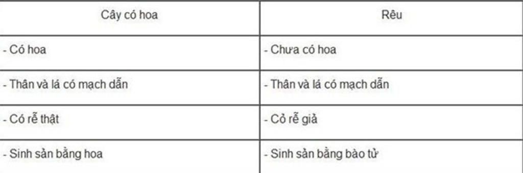 1-hay-so-sanh-dac-diem-cua-co-quan-sinh-duong-va-hinh-thuc-sinh-san-cua-cay-co-hoa-va-cay-reu