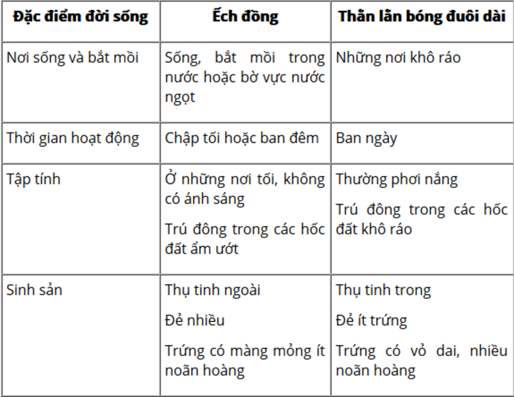 1-hay-trinh-bay-dac-diem-cau-tao-ngoai-cua-than-lan-thich-nghi-voi-doi-song-hoan-toan-o-can-so-v