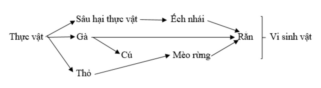 1-he-sinh-thai-dong-co-co-cac-sinh-vat-sau-thuc-vat-tho-meo-rung-vi-sinh-vat-cu-ga-sau-hai-thuc