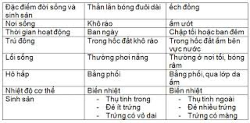 1-lap-bang-so-sanh-dac-diem-cua-ech-dong-va-than-lan-bong-duoi-dai-ve-a-noi-o-tap-tinh-va-dac-di