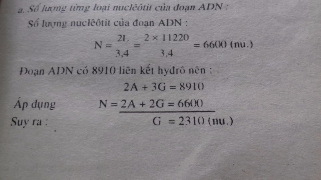 1-mot-doan-phan-tu-adn-dai-11-220a-va-co-8910-lien-ket-hydro-a-tinh-so-luong-tung-loai-nucleotit