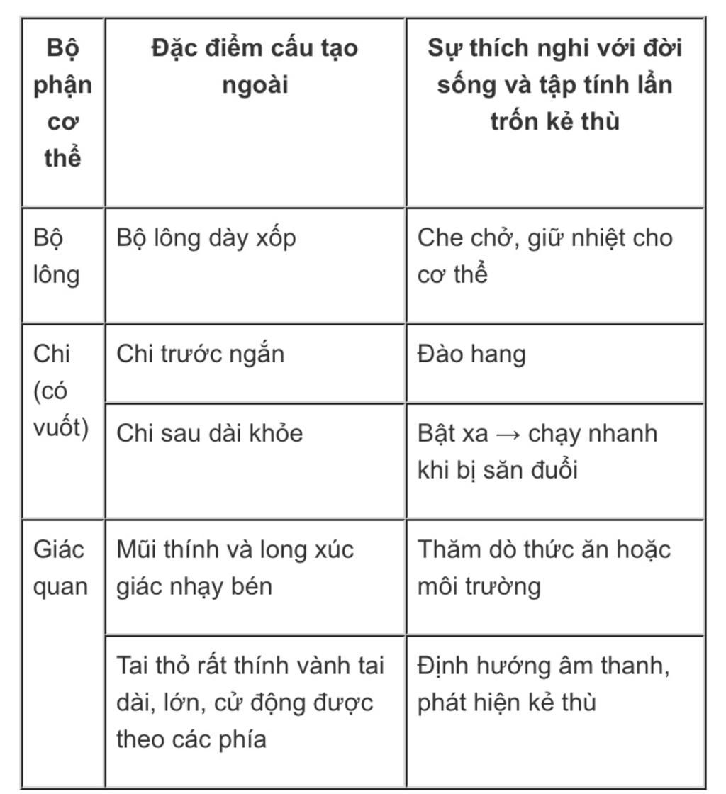 1-neu-dac-diem-cau-tao-ngoai-cua-tho-thich-nghi-voi-doi-song-chay-tron-va-an-nap-2-giai-thich-ta