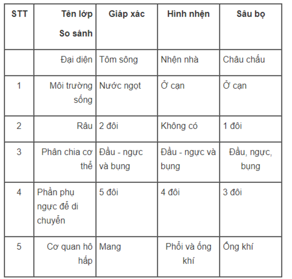 1-neu-dac-diem-chung-cua-nganh-giun-dot-2-neu-dac-diem-chung-cua-nganh-giun-tron-3-dac-diem-phan