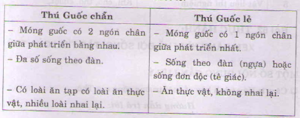 1-neu-dac-diem-cua-thu-guoc-chan-va-thu-guoc-le-2-dong-vat-nao-he-tuan-hoan-co-vach-hut-3-dong-v