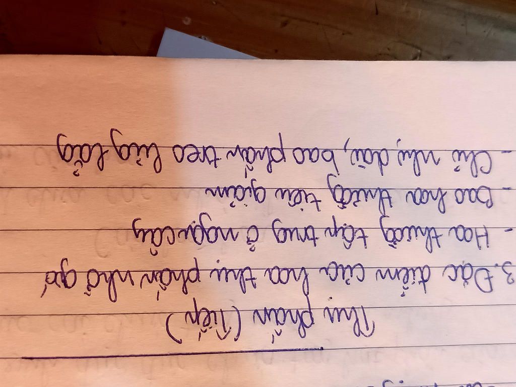 1-nhung-dac-diem-nao-chung-to-cay-thuoc-2-la-mam-cay-thuoc-1-la-mam-cho3-vd-2-qua-va-hat-phat-ta