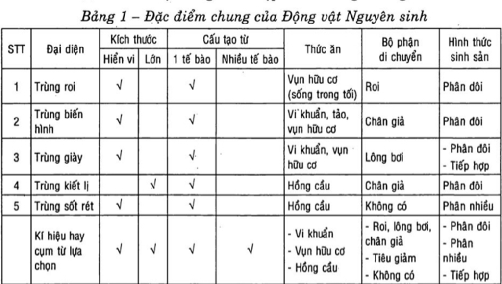 1-nhung-dong-vat-nao-trong-nghanh-dong-vat-nguyen-sinh-di-chuyen-bang-chan-gia