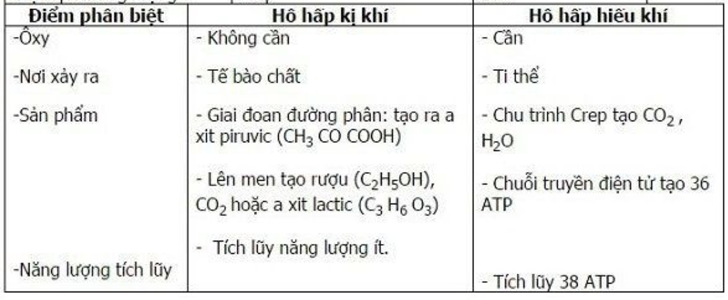 1-phan-biet-ho-hap-hieu-khi-va-ho-hap-ki-khi-2-tai-sao-nguyen-lieu-ho-hap-te-bao-la-c6h12o6-ma-k