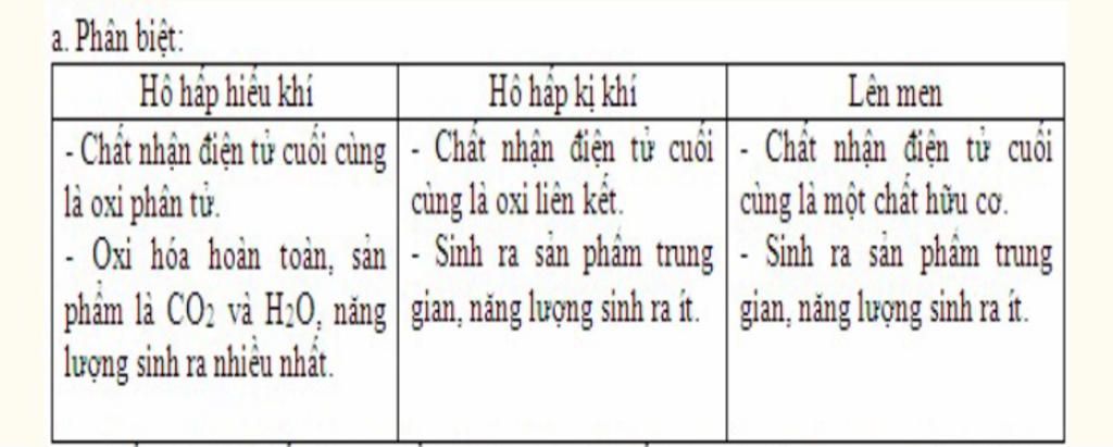 1-phan-biet-nhung-loi-ich-va-tac-hai-ma-vi-sinh-vat-mang-lai-khi-phan-giai-cac-chat-2-phan-biet