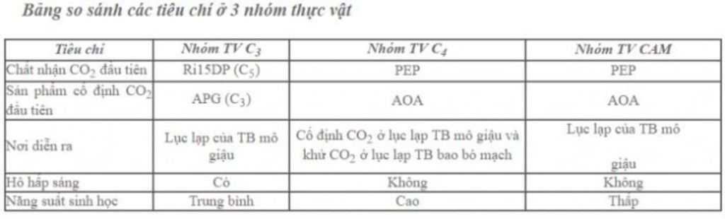 1-qua-trinh-quang-hop-cua-lua-ngo-thanh-long-co-giong-nhau-k-vi-sao-2-moi-qu